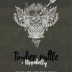 27. 3. 2017 - Timber Rattle (USA), Hippobely - Kopřivnice - Mandala
