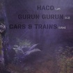 3. 6. 2018 - Cars and Trains (USA), Gurun Gurun, Haco (JP) - Praha - Kaštan
