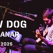 12. 10. 2025 - New Dog (USA), ARANANAR - Praha - Punctum
