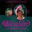 4. 10. 2015 - Bleubird (USA), Edoshův kurník - Praha - Potrvá
