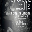 13. 11. 2015 - Chelsea Wolfe (USA), Dave Heumann (USA), A Dead Forest Index (NZ) - Praha - Divadlo Dobeška
